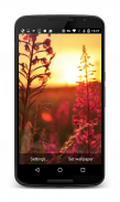 Sunset Meadow HD Wallpaper screenshot 0