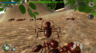 Ant Simulation 3D screenshot 2