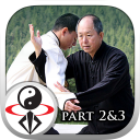 Yang Tai Chi for Beginners 2&3