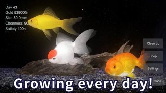 Goldfish 3D Relaxing Aquarium screenshot 0