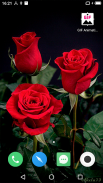 GIF and Video Live Wallpaper-7 screenshot 4