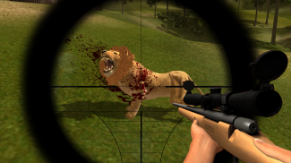 Animal Hunting : Lion Sniper Hunter screenshot 2