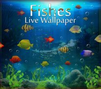 Fishes Live Wallpaper 2020 - Aquarium Koi Bgs screenshot 9