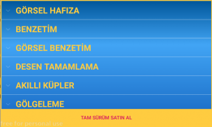 Bilsem Dedektifi 3. Sınıf - Meb Bilsem Deneme screenshot 3