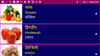 Learn Sanskrit From Hindi screenshot 1