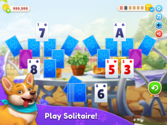 Piper's Pet Cafe - Solitaire screenshot 6