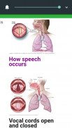 All respiratory disorder screenshot 0