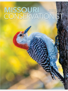 MO Conservationist Magazine screenshot 3