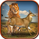 Wild Lion Simulator Game Icon