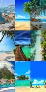 Beach Wallpapers HD screenshot 5