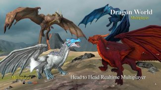 Dragon Multiplayer 3D screenshot 2