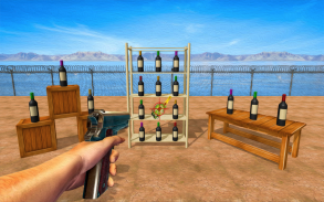 Flip Bottle Shooting Games screenshot 1