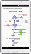 Metabolic Engineering screenshot 4