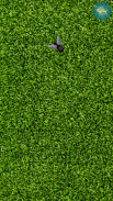 Fly on the screen - a game for the cat screenshot 3