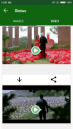 Status Downloader For Whatsapp screenshot 1