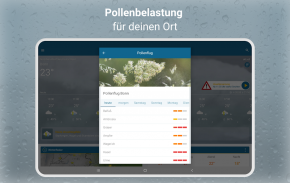 RegenRadar mit Unwetterwarnung screenshot 17