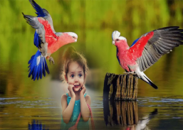 Birds Photo Frames screenshot 0