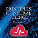 Principles of Neural Science