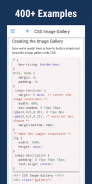 Learn CSS screenshot 0
