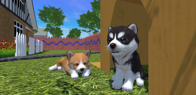 Cute Pocket Puppy 3D - Part 2