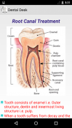 Dental Desk screenshot 2