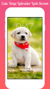Cute Dogs Labrador Lock screen HD Applock security screenshot 4
