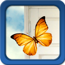 Mariposas Live Wallpapers Icon