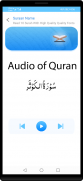 10 Small Surah Audio screenshot 3