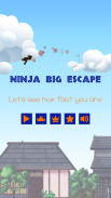 Ninjja Big Escape screenshot 3