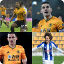 Wolverhampton Wanderers quiz: Guess the Player