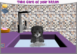 KittyZ Cat - Virtual Pet to take care and play screenshot 0