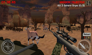 Deer Hunting Kill Shot screenshot 1