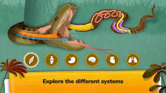 The Animals: Animal Kids Games screenshot 10