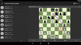 Promaster Chess Openings