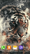 Tiger Live Wallpaper screenshot 2