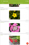 PlantNet पौधों की पहचान screenshot 5