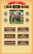Horse Coat Colors Quiz screenshot 8