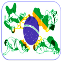 BJJ Brazo-Locks Icon