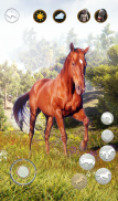 Talking Horse screenshot 11