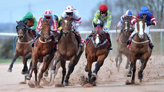 Horse Racing Wallpapers screenshot 6