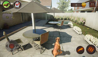 Dachshund Dog Simulator screenshot 13