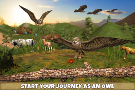 Wild Owl Bird Family Survival screenshot 3