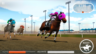 Photo Finish Horse Racing screenshot 5