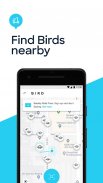 Bird — Viagem com um veículo e screenshot 2