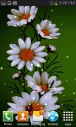 White Flowers Beauty LWP screenshot 2