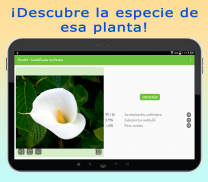 PlantID - Identifica Plantas screenshot 2