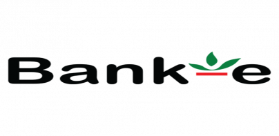 Bank-e