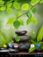 Leaf Live Wallpaper screenshot 5