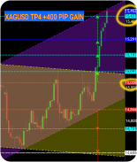 Daily Forex Analysis screenshot 6