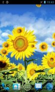 Sunflower sfondi animati screenshot 1